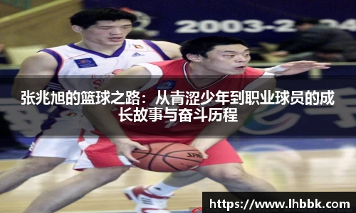 JBO竞博·体育官网