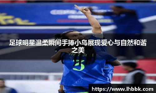 JBO竞博·体育官网