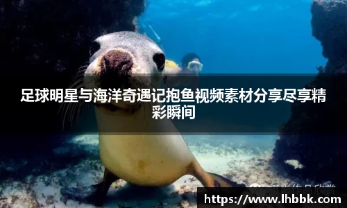 JBO竞博·体育官方网站